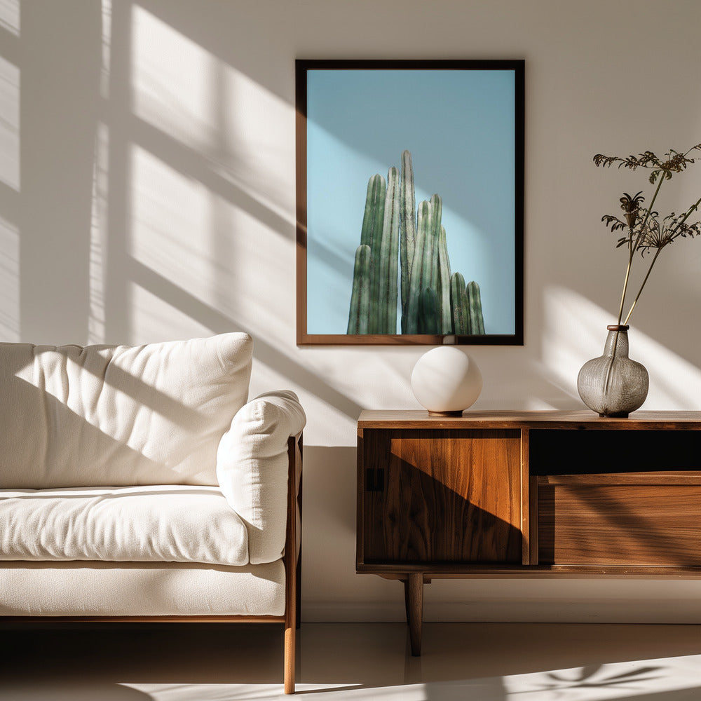 Cacti Poster